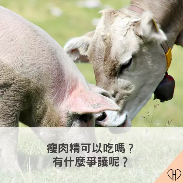 美豬及美牛,瘦肉精,萊克多巴按,西布特羅