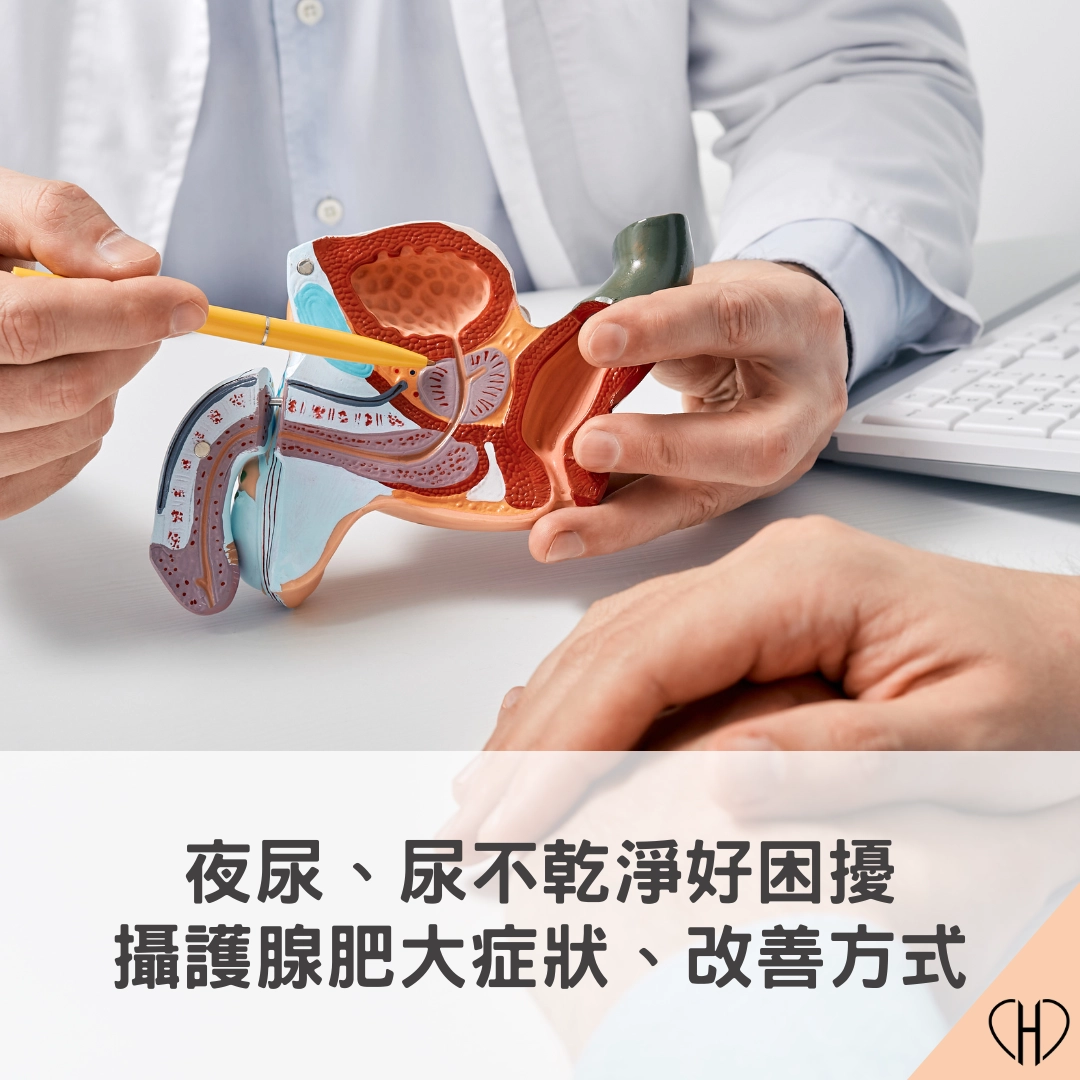 夜尿、頻尿、尿不乾淨好困擾！跟攝護腺肥大有關？症狀、改善方式一次看