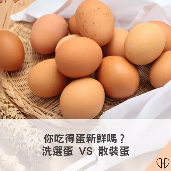洗選蛋與散裝蛋的差異,雞蛋如何保存