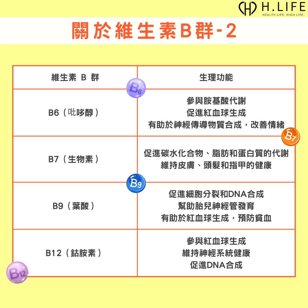 維生素 B 群成員的生理功能