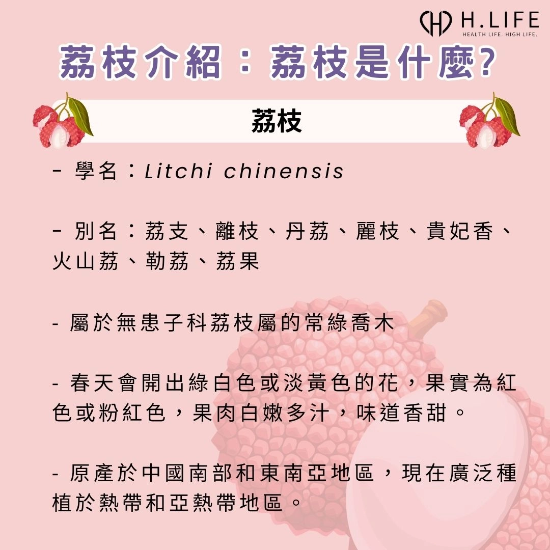 荔枝介紹:荔枝是什麼?