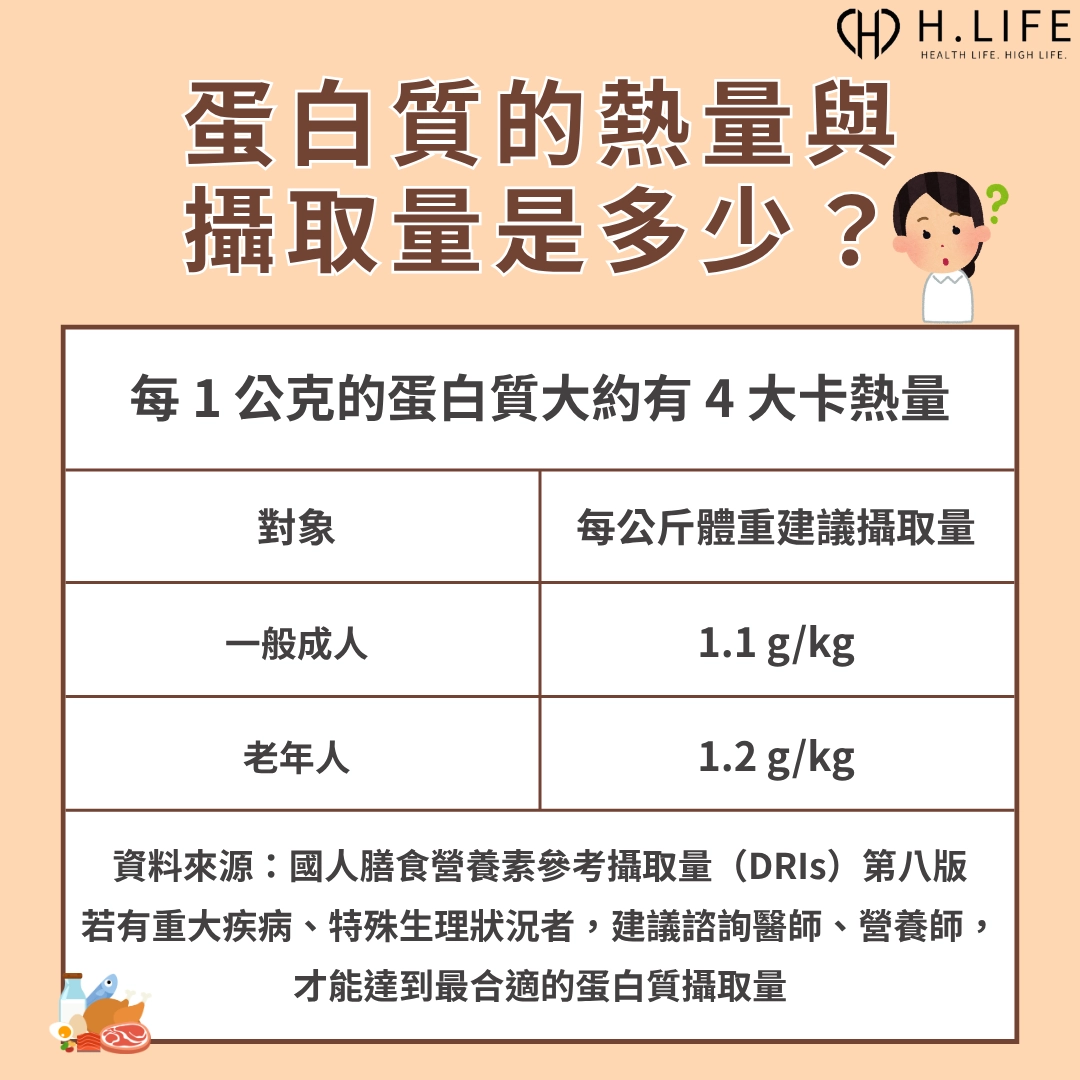 蛋白質的熱量是多少？一天攝取量是多少？