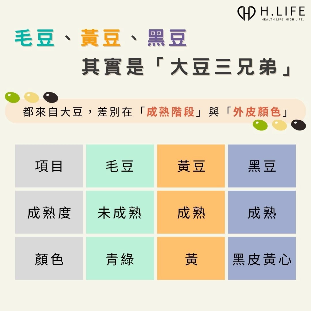 毛豆、黃豆、黑豆差異