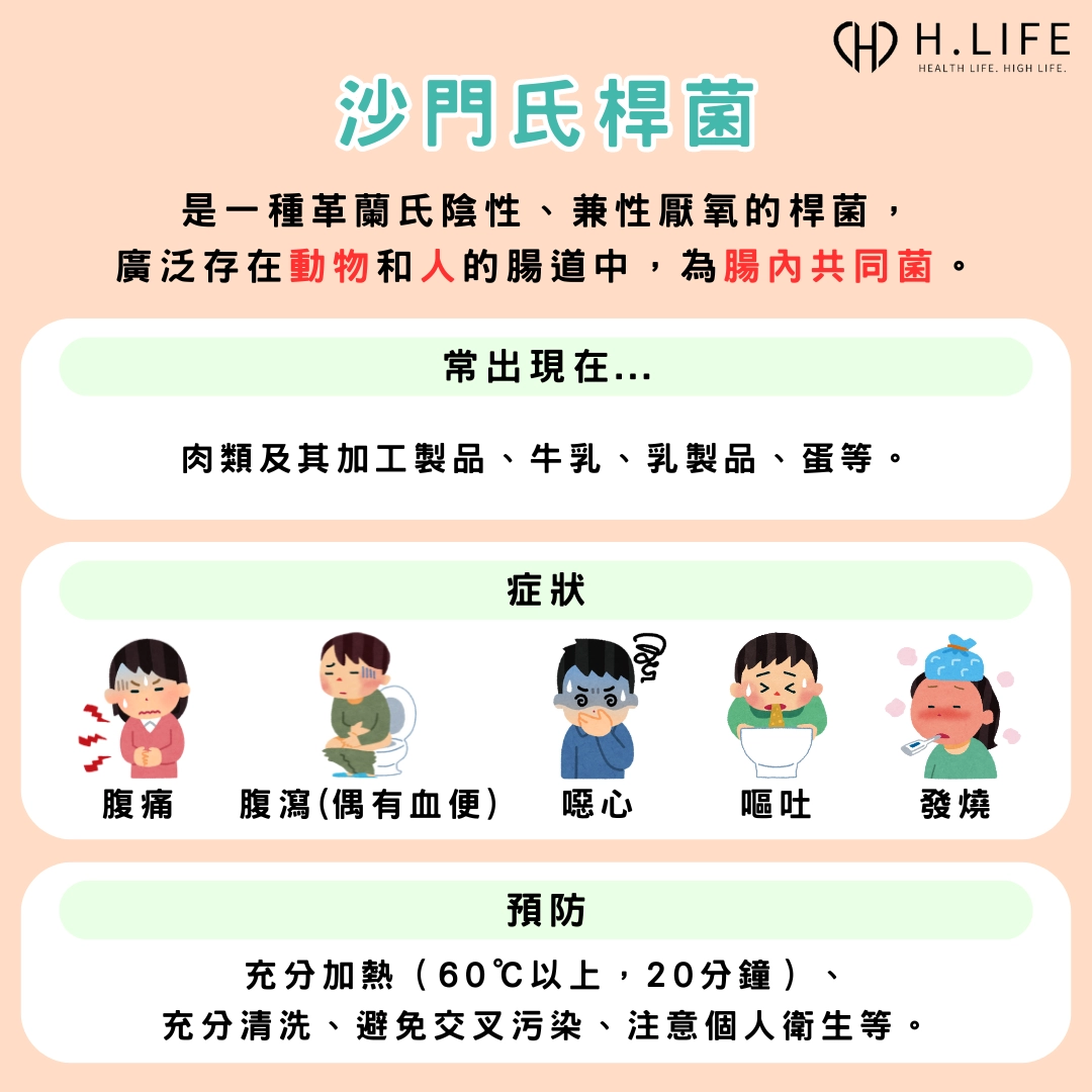 沙門氏桿菌（Salmonella）介紹、常見食物、中毒症狀、預防方法