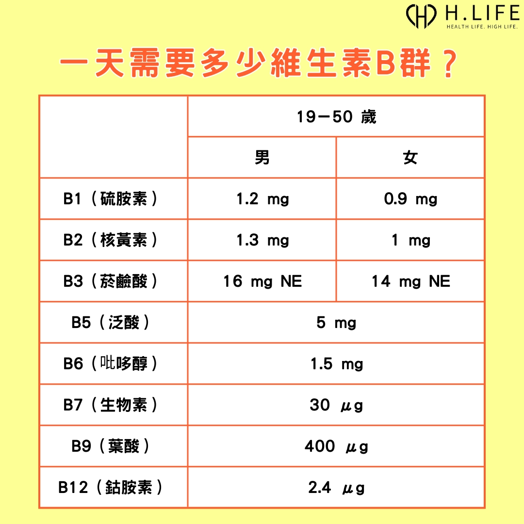 一天需要多少維生素 B 群？