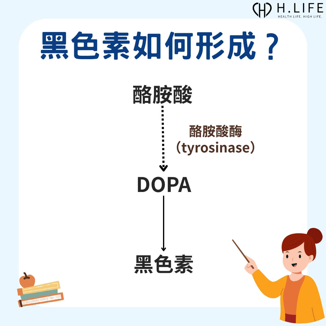 黑色素如何形成？