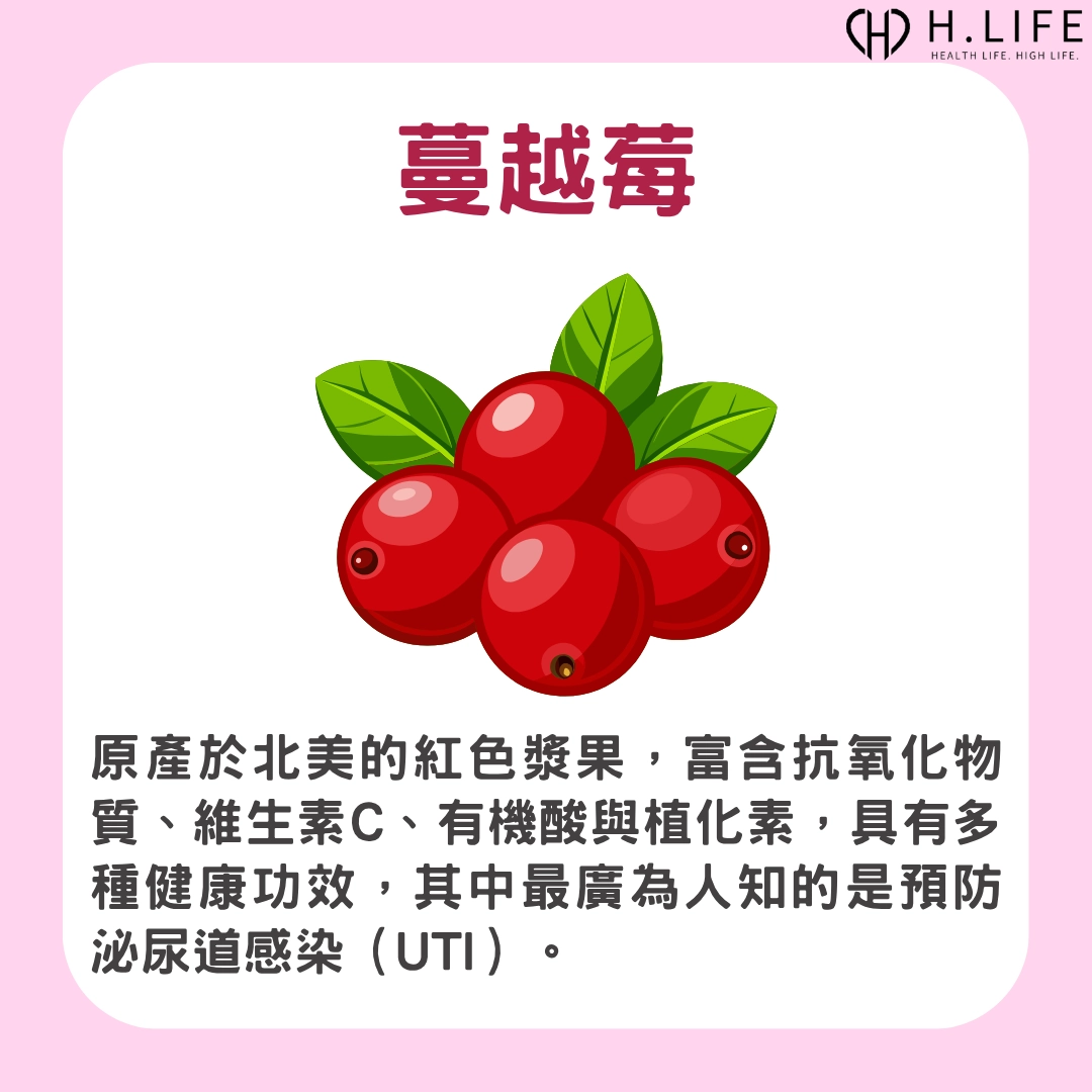 蔓越莓的介紹