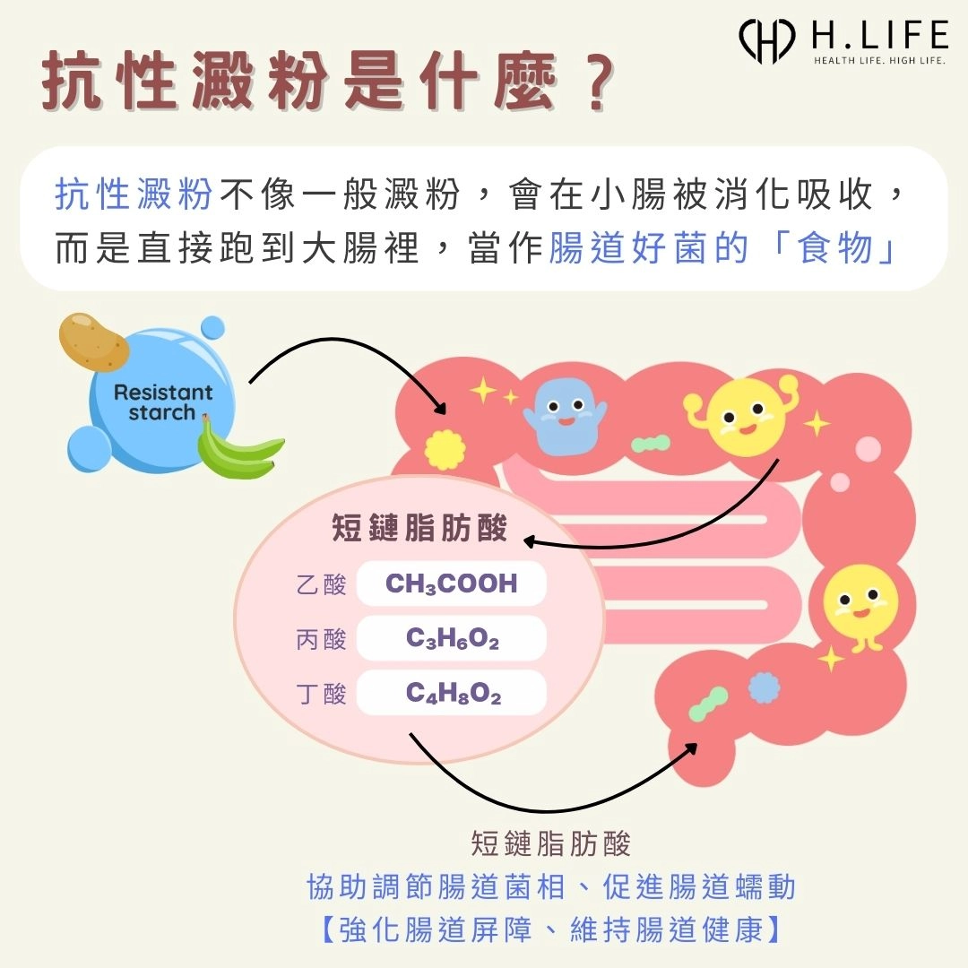 抗性澱粉是什麼?