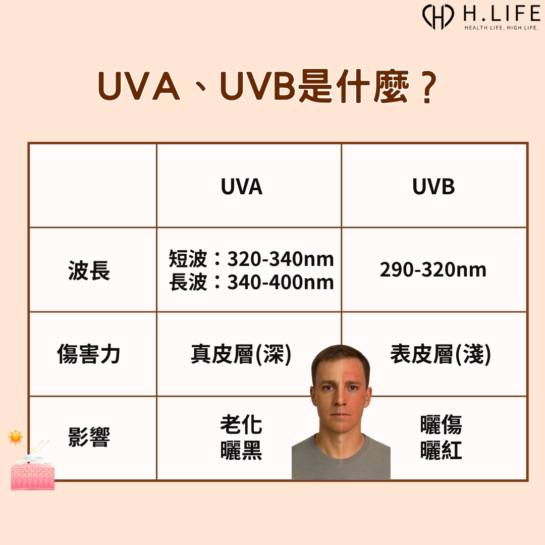 UVA、UVB 是什麼？差異在哪？