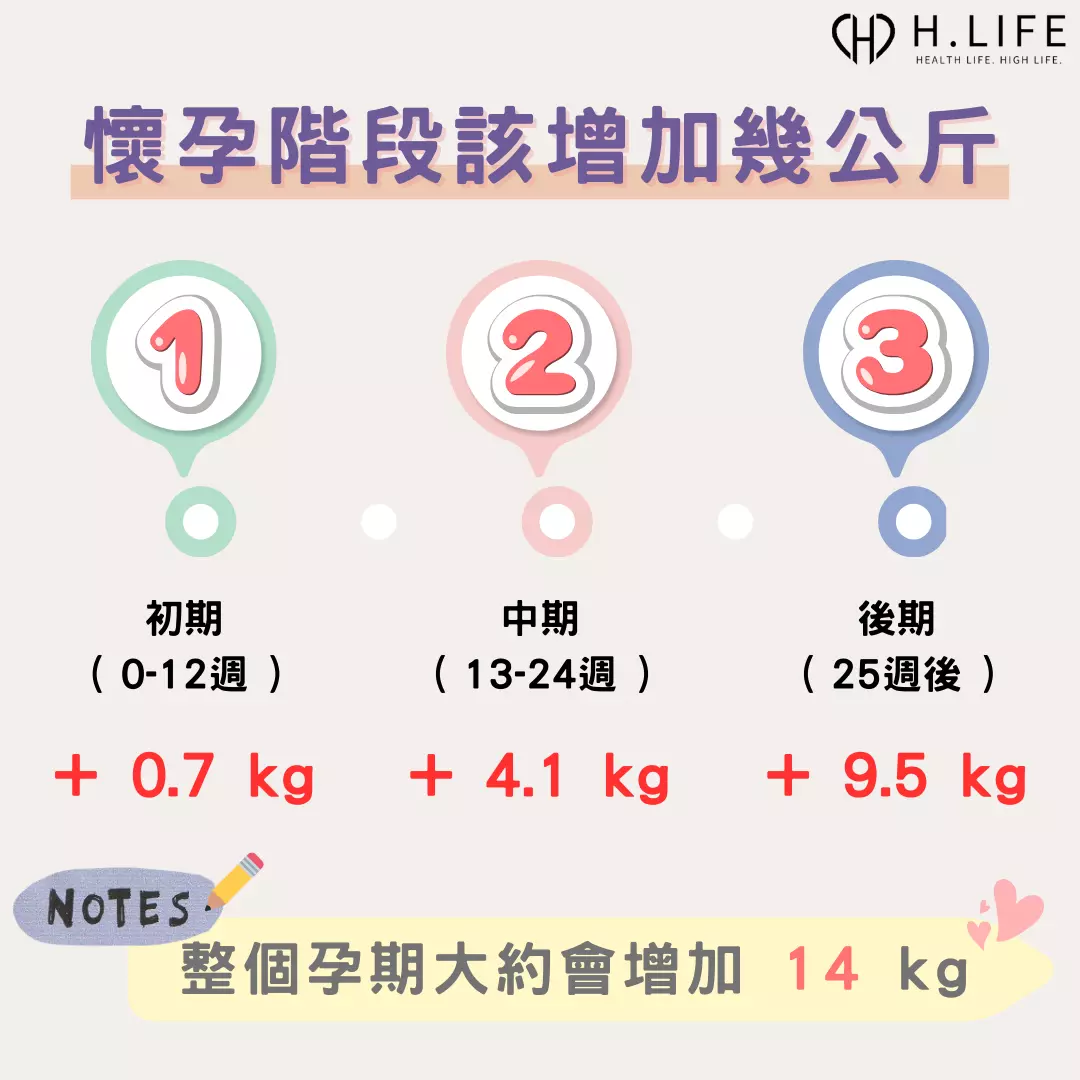 寶寶生長過程及懷孕階段該增加幾公斤？